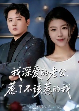 我深爱的老公，惹了不该惹的我封面图