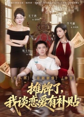 摊牌了，我谈恋爱有补贴封面图