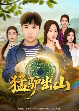 猛驴出山封面图
