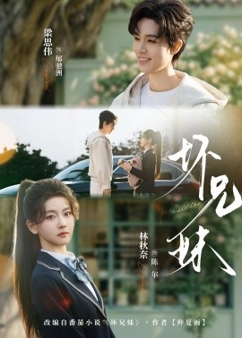 坏兄妹封面图