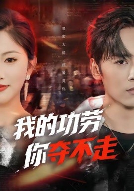 我的功劳，你夺不走封面图