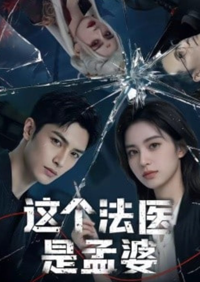 这个法医是孟婆封面图